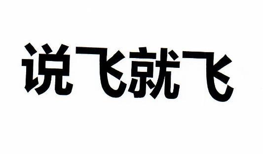 说飞就飞