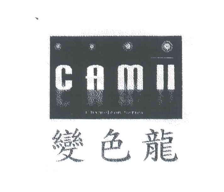 变色龙;CAMH