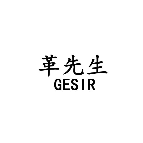 革先生 GESIR