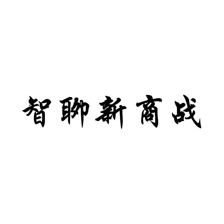 智聊新商战