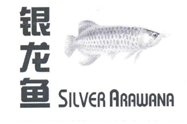 银龙鱼;SILVER ARAWANA