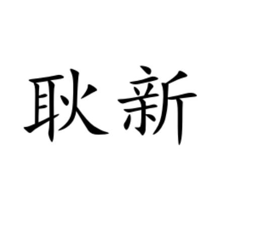 耿新