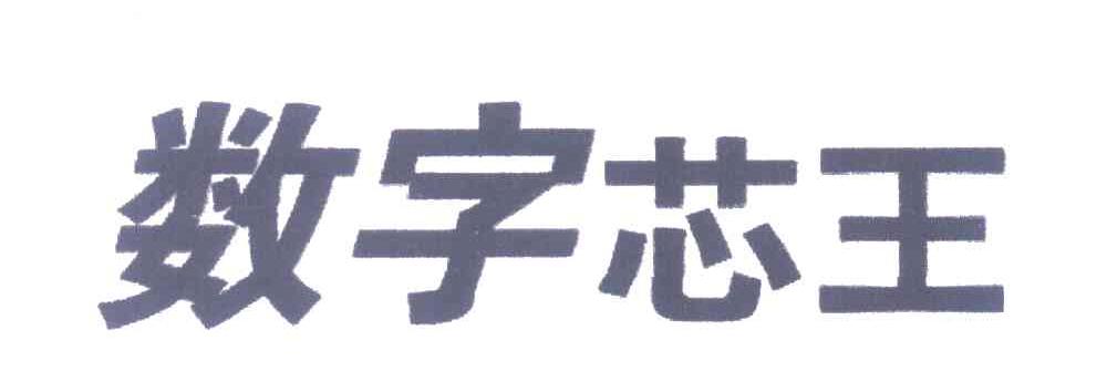 数字芯王