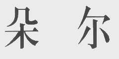朵尔