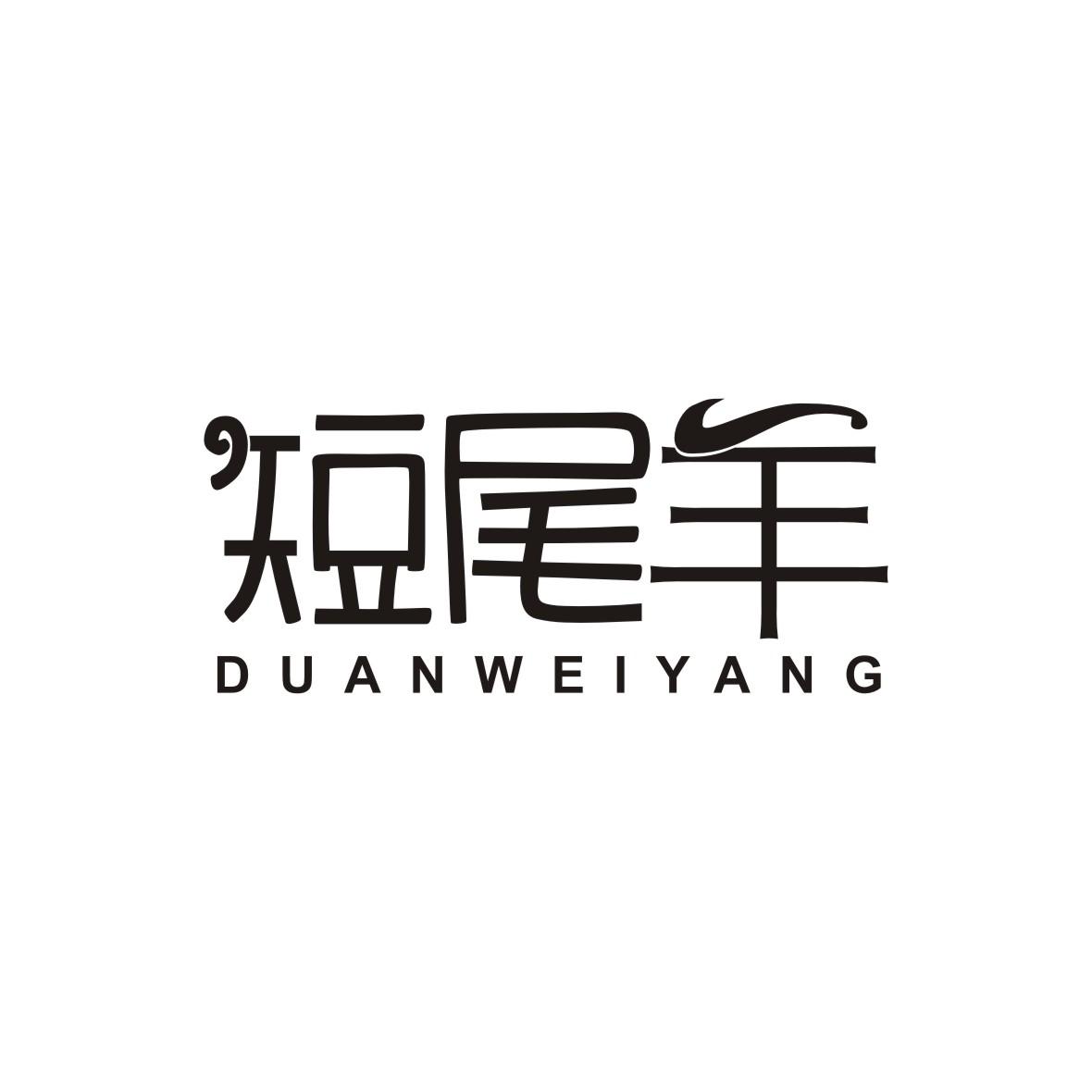 短尾羊