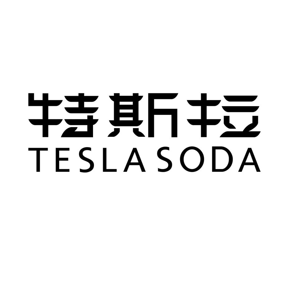 特斯拉 TESLASODA