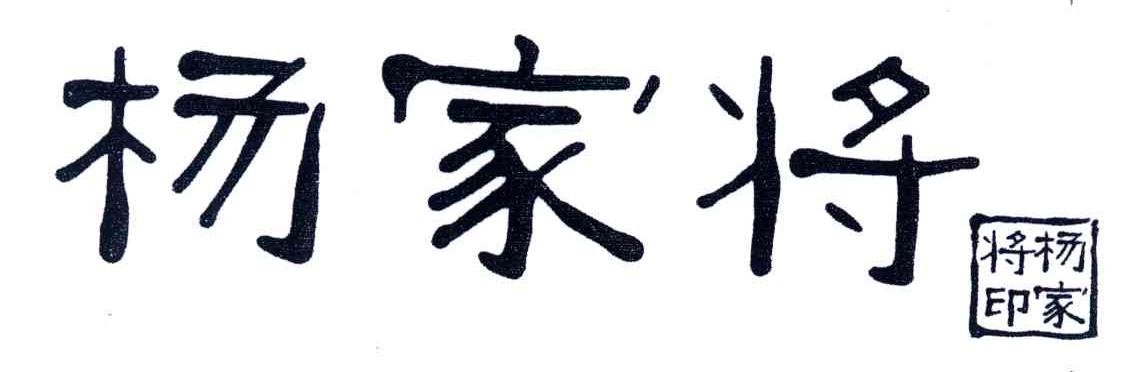 杨家将；杨家将印