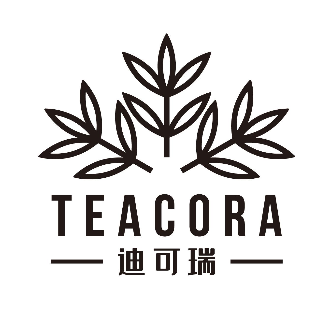 迪可瑞  TEACORA