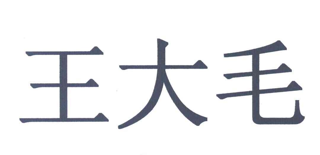 王大毛