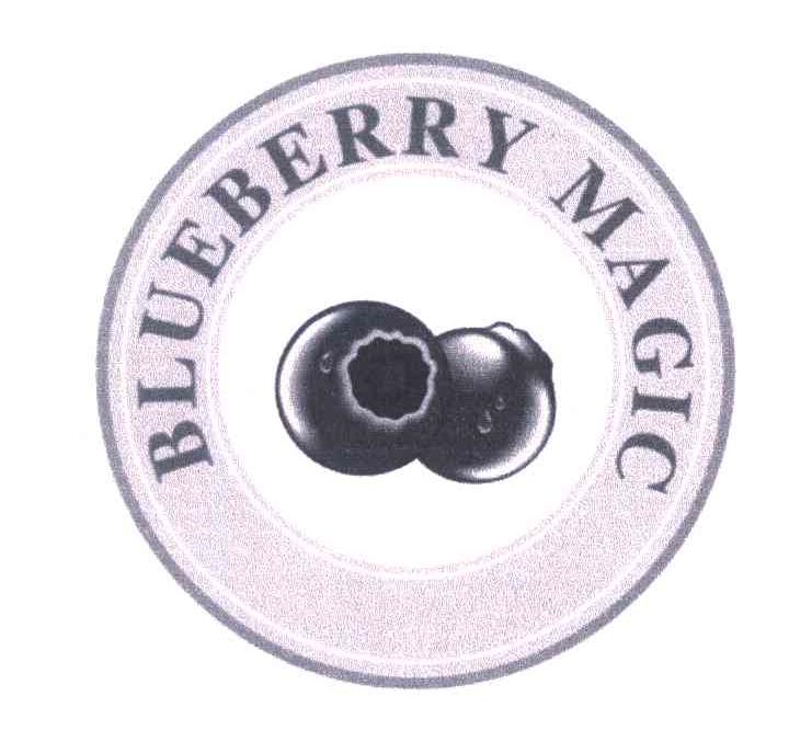 BLUEBERRY MAGIC