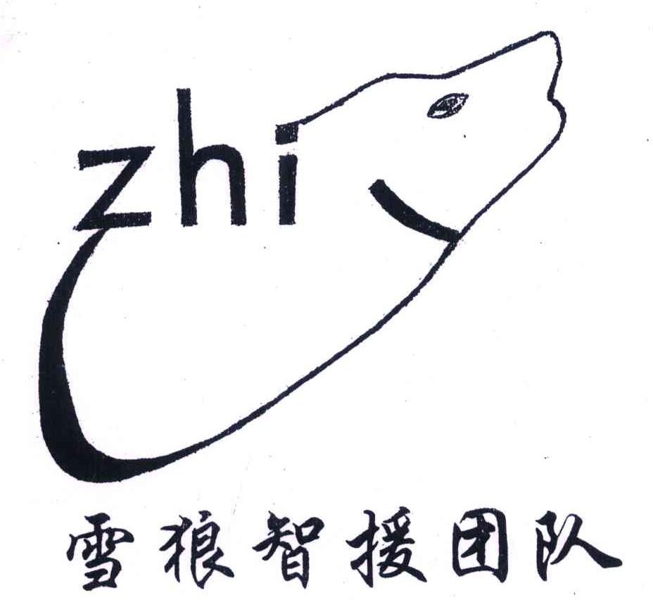 雪狼智援团队 ZHI