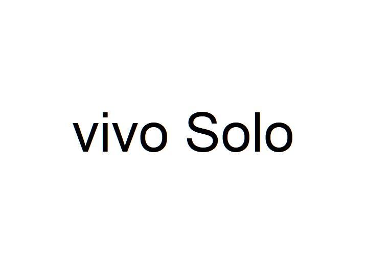 VIVO SOLO