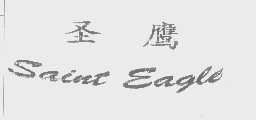 圣鹰   SAINT EAGLE