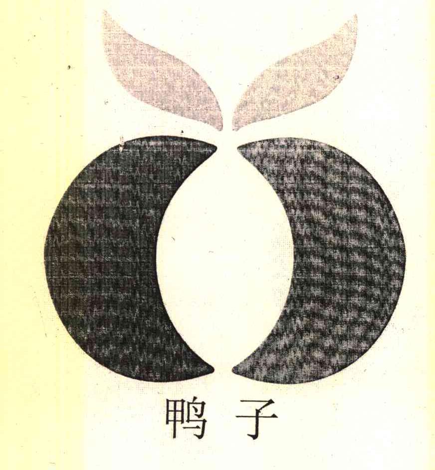 鸭子
