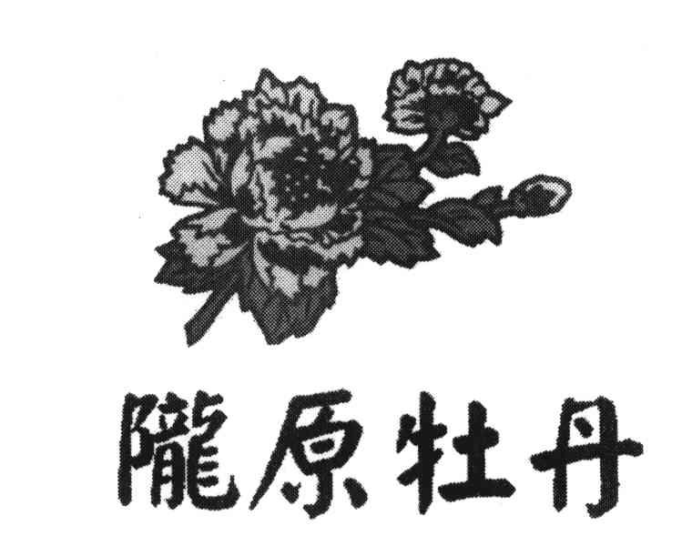 陇原牡丹