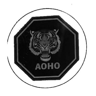 AOHO