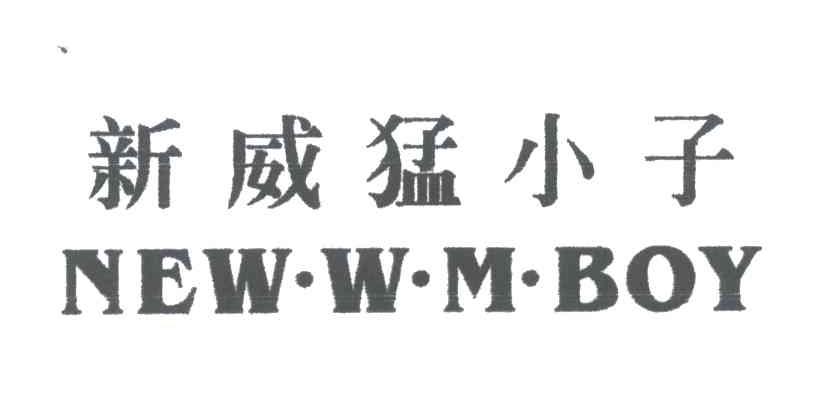 新威猛小子NEW.W.M.BOY