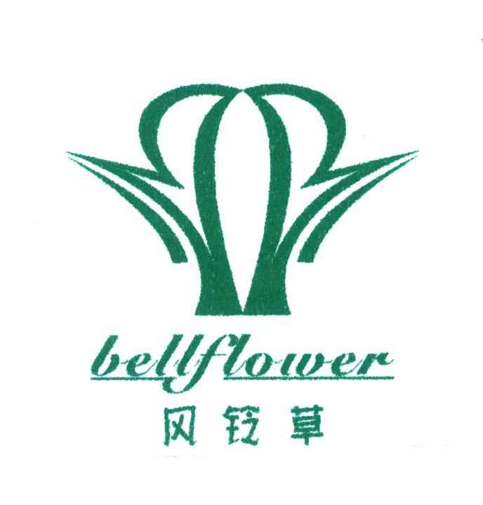 风铃草;BELLFLOWER