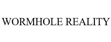 WORMHOLE REALITY