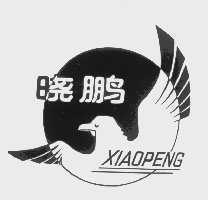 晓鹏