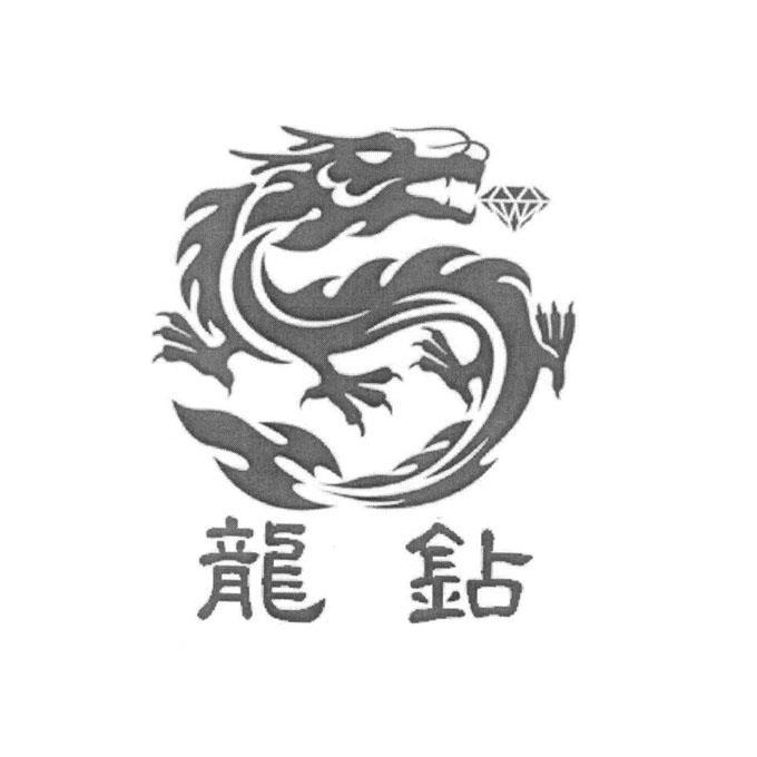 龙钻