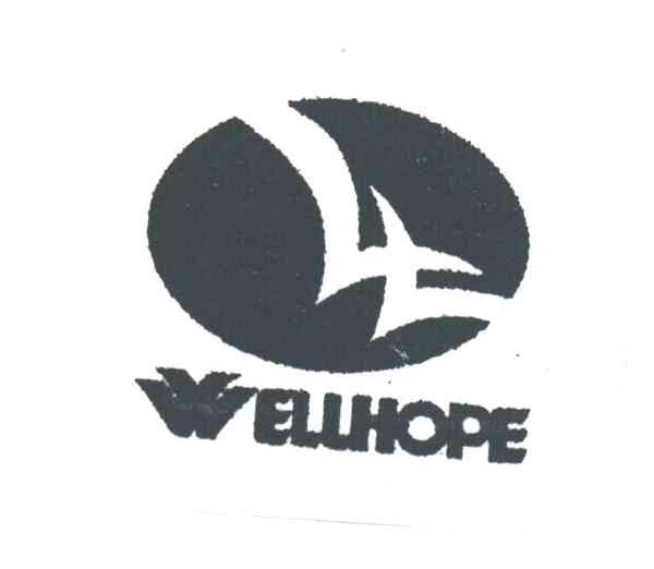 WELLHOPE及图