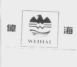 伟海
