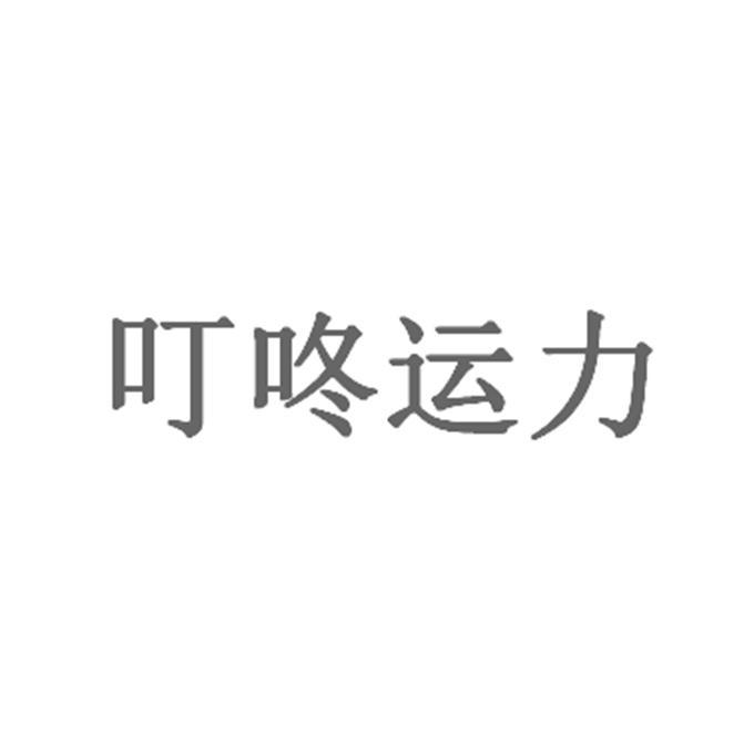叮咚运力