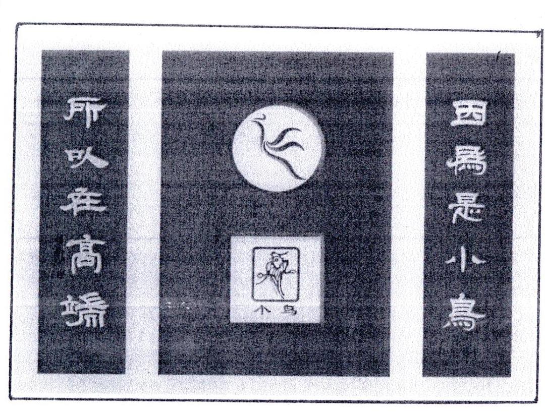 小鸟 因为是小鸟 所以在高端