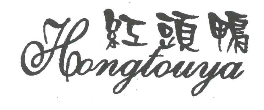 红头鸭