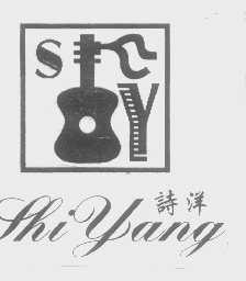 诗洋
