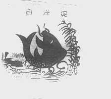 白洋淀