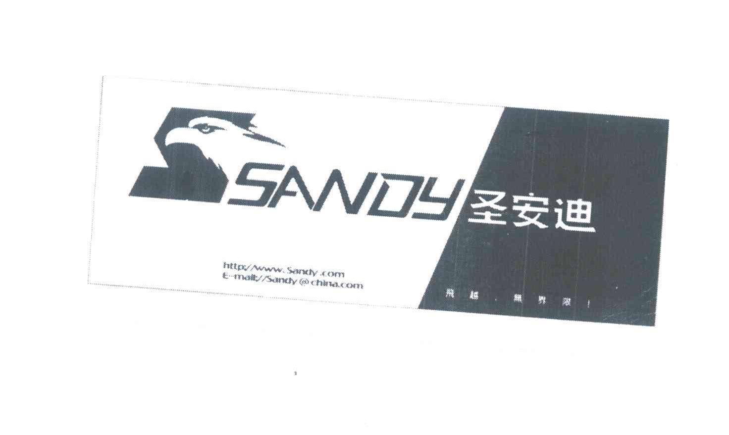 圣安迪；飞跃无界限;SANDY