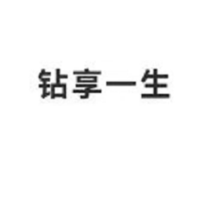 钻享一生
