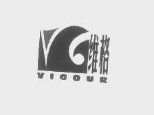 维格   VIGOUR