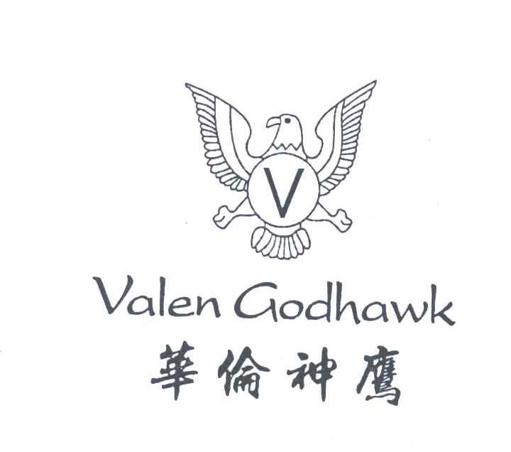 华伦神鹰;VALEN GODHAWK;V