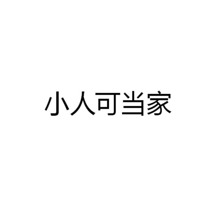小人可当家