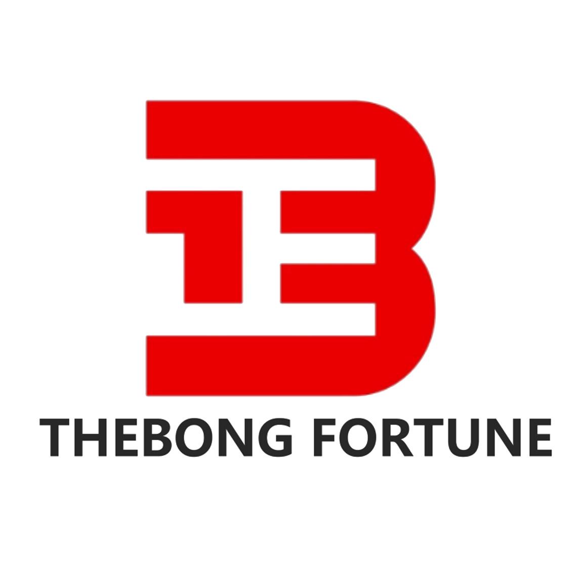 正 B THEBONG FORTUNE