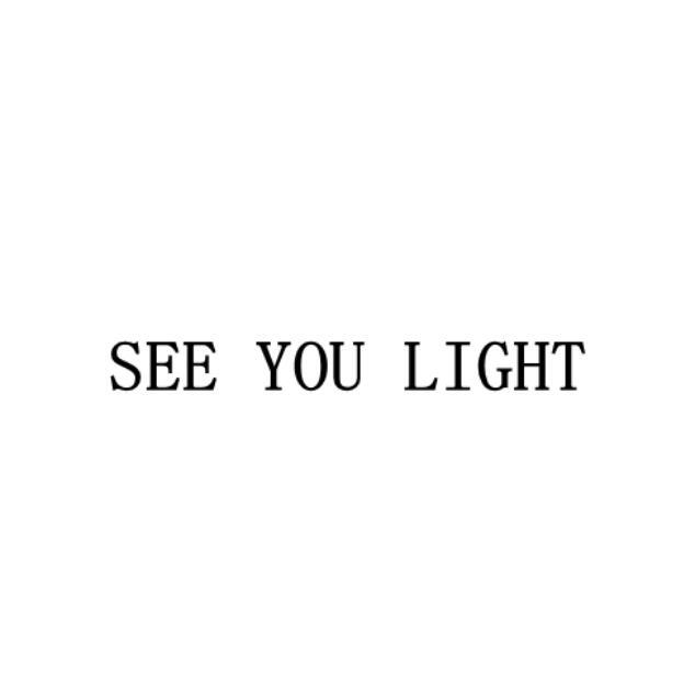 SEE YOU LIGHT