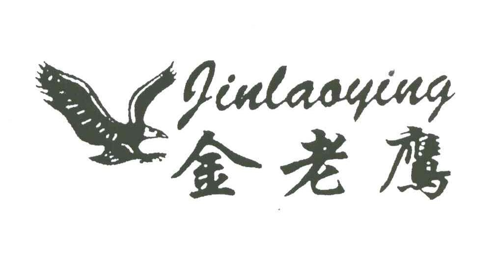 金老鹰
