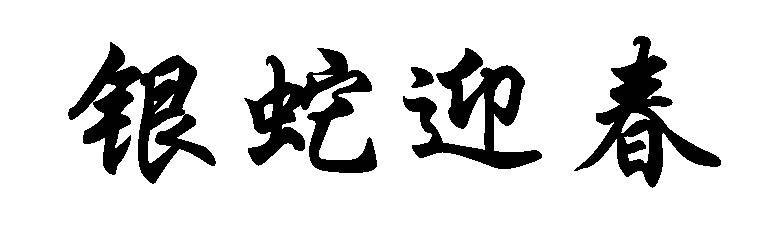 银蛇迎春