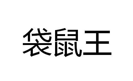 袋鼠王