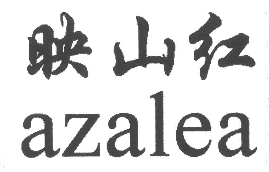 映山红;AZALEA