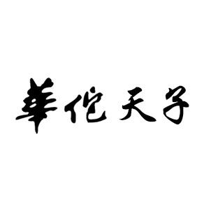 华佗天子