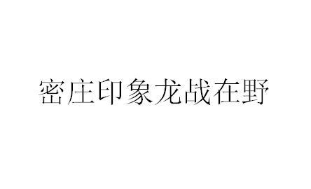 密庄印象龙战在野