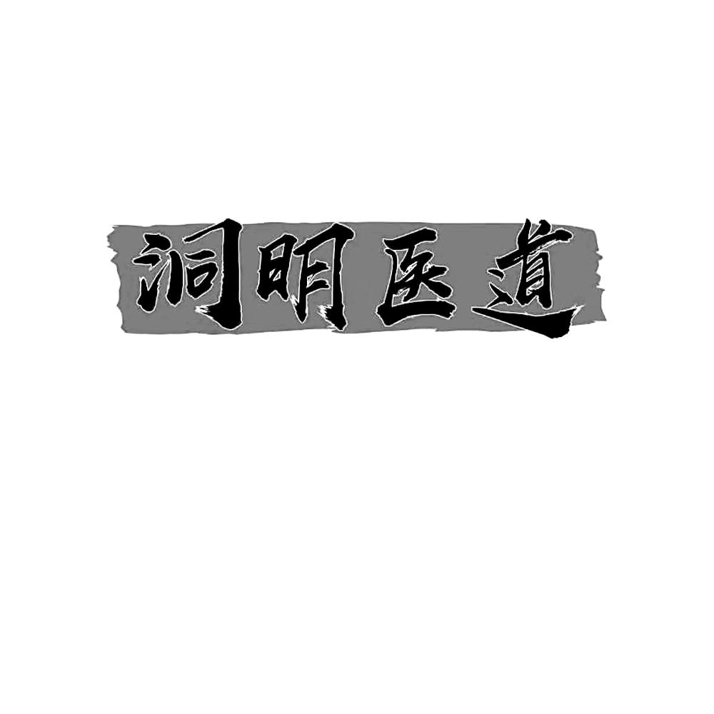 洞明医道