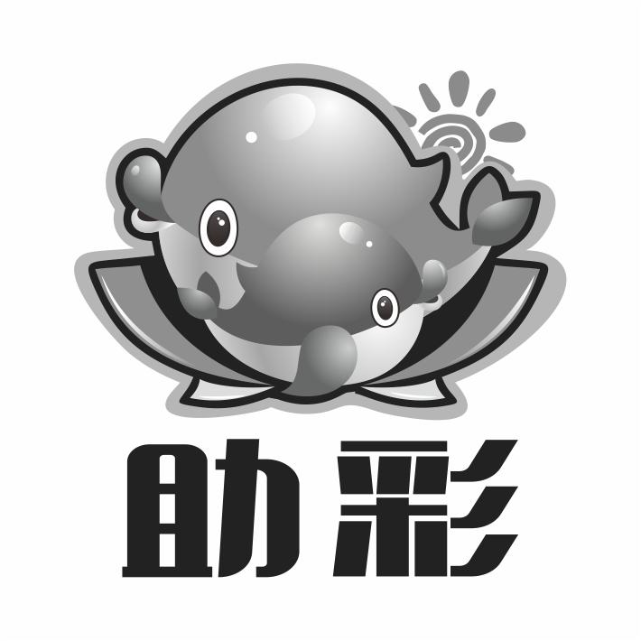 助彩