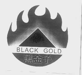 黑金子   BLACK GOLD