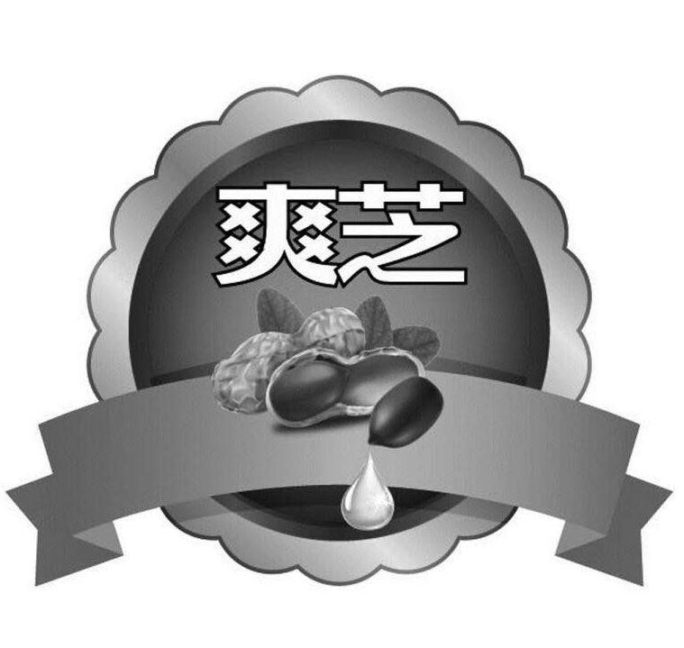 爽芝