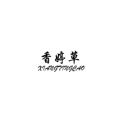 香婷草
